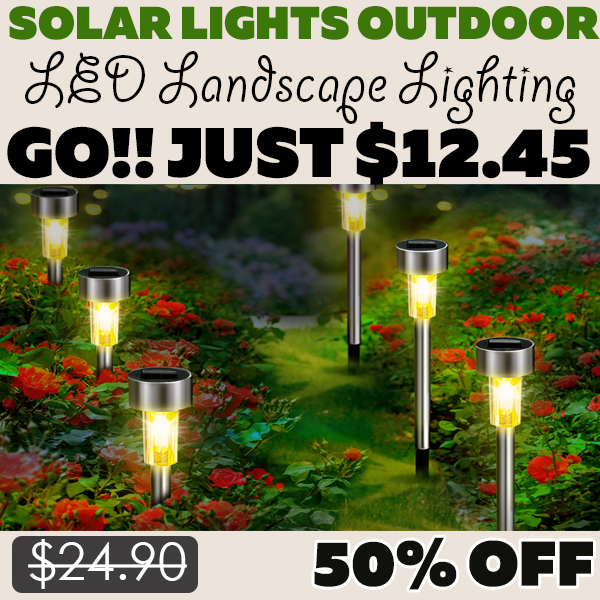 LED Landscape Lighting Only $12.45 (Regularly $24.90)