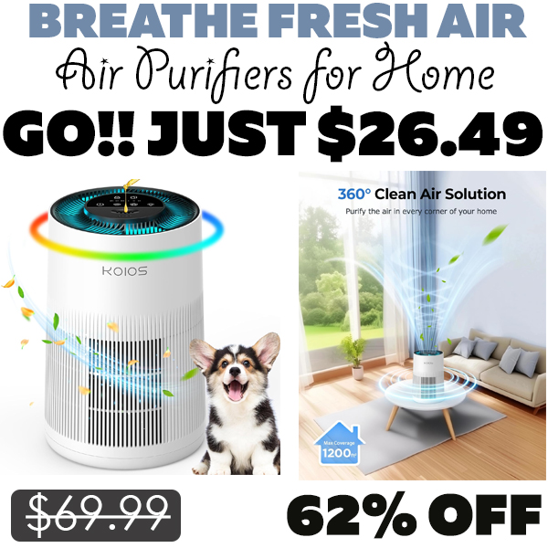 Air Purifiers for Home Only $26.49 (Regularly $69.99)