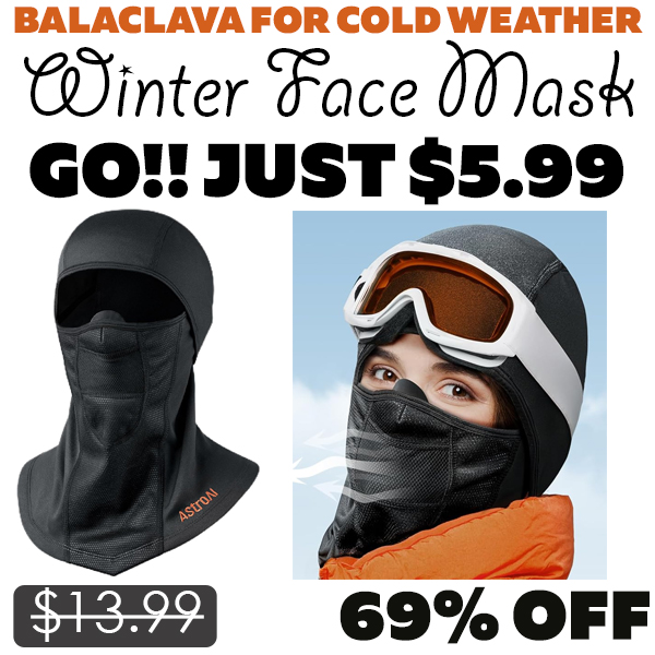 Winter Face Mask Only $5.99 (Regularly $13.99)