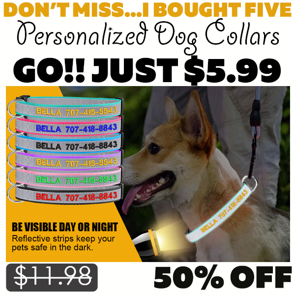 Personalized Dog Collars Only $5.99 (Regularly $11.98)
