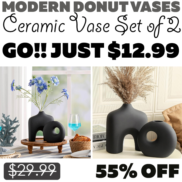 Ceramic Vase Set of 2 Only $12.99 (Regularly $29.99)