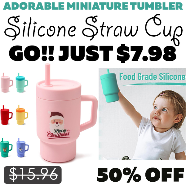 Silicone Straw Cup Only $7.98 (Regularly $15.96)