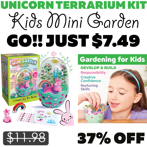Kids Mini Garden Only $7.49 (Regularly $11.98)