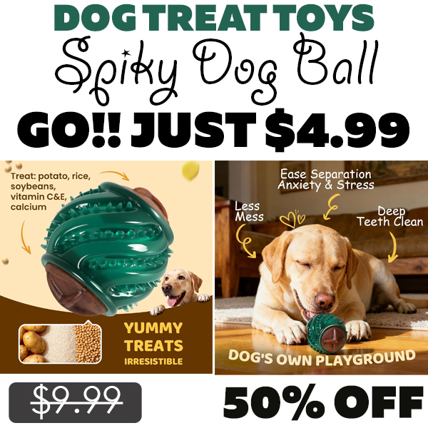 Spiky Dog Ball Only $4.99 (Regularly $9.99)