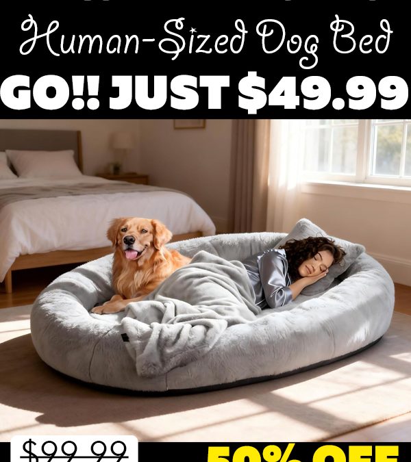Human-Sized Dog Bed Only $49.99 (Regularly $99.99)
