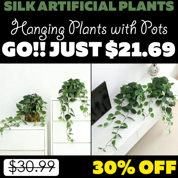 Hanging Plants with Pots Only $21.69 (Regularly $30.99)
