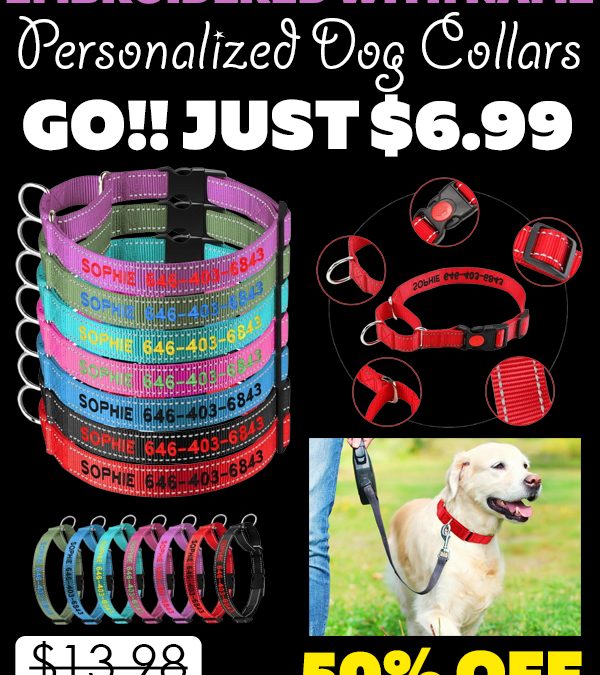 Personalized Dog Collars Only $6.99 (Regularly $13.98)