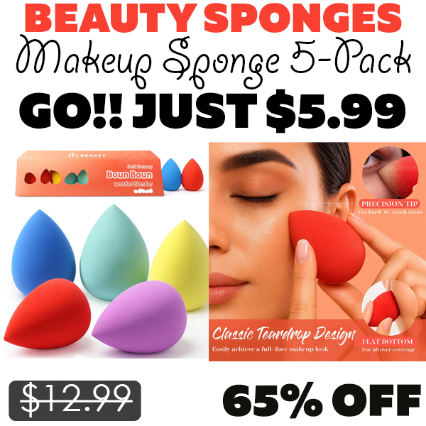 Makeup Sponge 5-Pack Only $5.99 (Regularly $12.99)