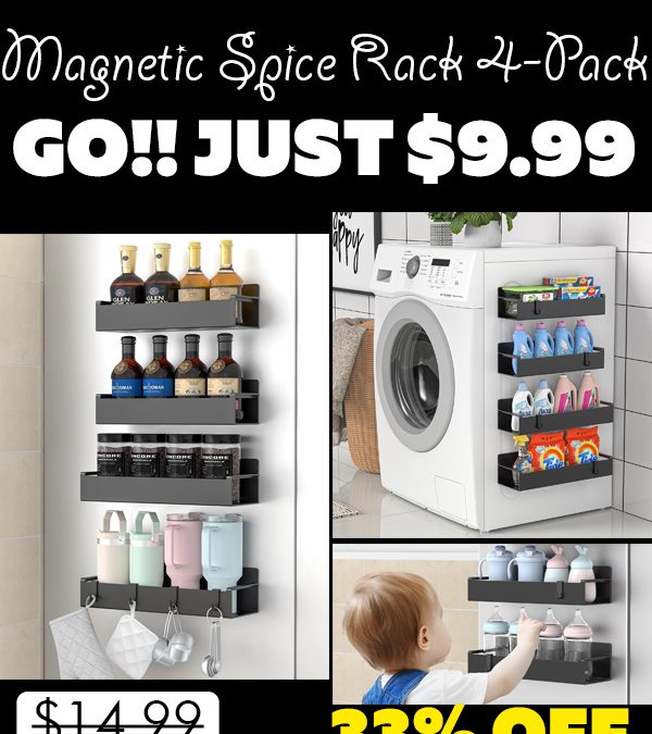 Magnetic Spice Rack 4-Pack Only $9.99 (Regularly $14.99)