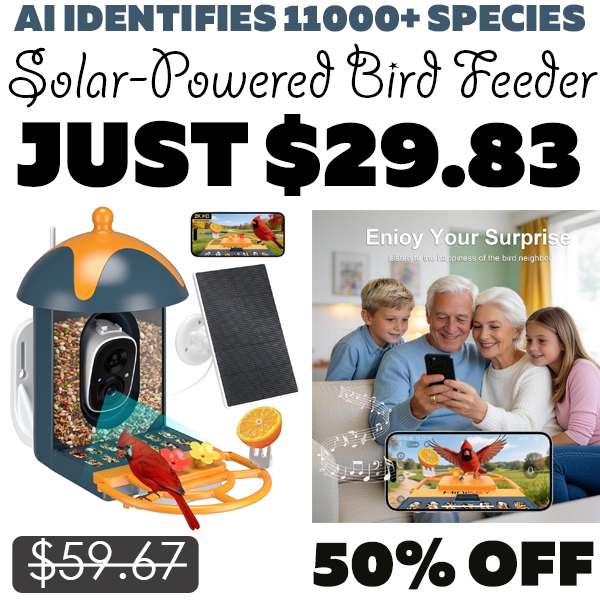 Solar-Powered Smart Bird Feeder Only $29.83 (Regularly $59.67)