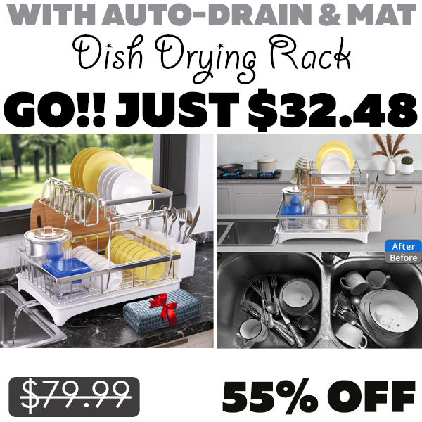 Dish Drying Rack Only $32.48 (Regularly $79.99)