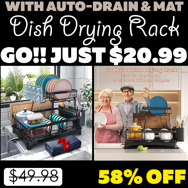 Dish Drying Rack Only $20.99 (Regularly $49.98)