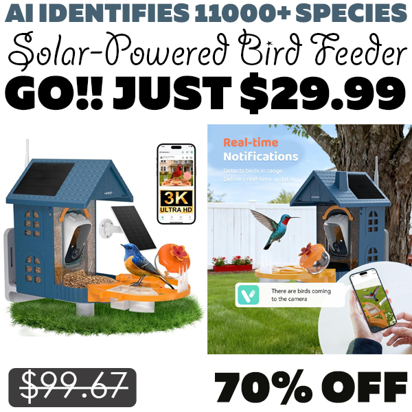 Solar-Powered Smart Bird Feeder Only $29.99 (Regularly $99.67)