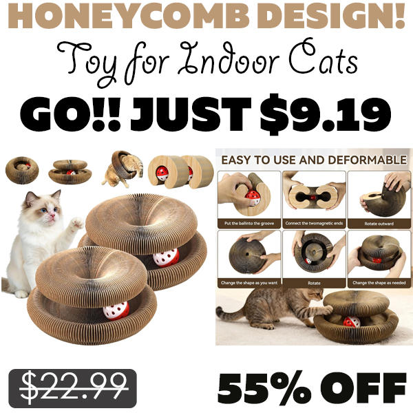 Toy for Indoor Cats Only $9.19 (Regularly $22.99)