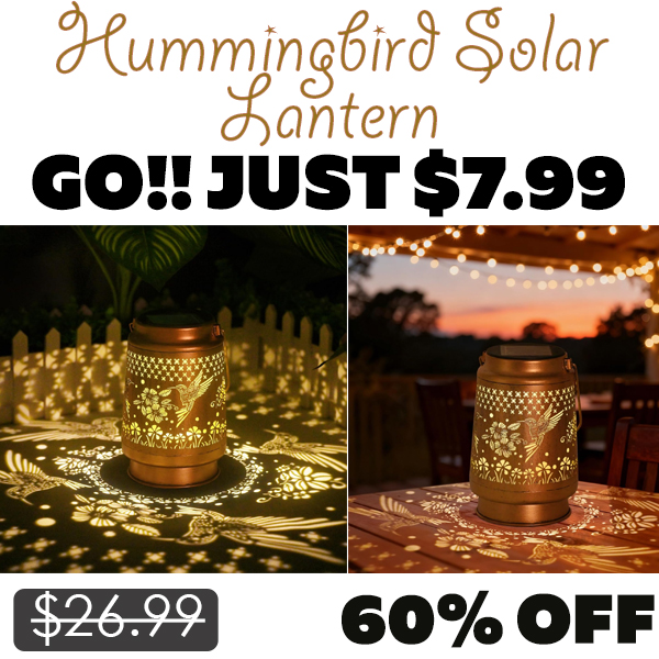 Hummingbird Solar Lantern Only $7.99 (Regularly $26.99)