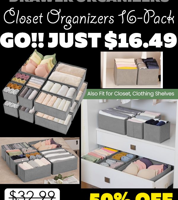 Closet Organizers 16-Pack Only $16.49 (Regularly $32.99)