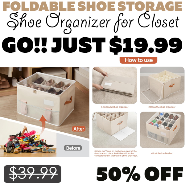 Shoe Organizer for Closet Only $19.99 (Regularly $39.99)