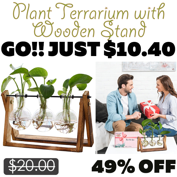 Plant Terrarium with Wooden Stand Only $10.40 (Regularly $20.00)