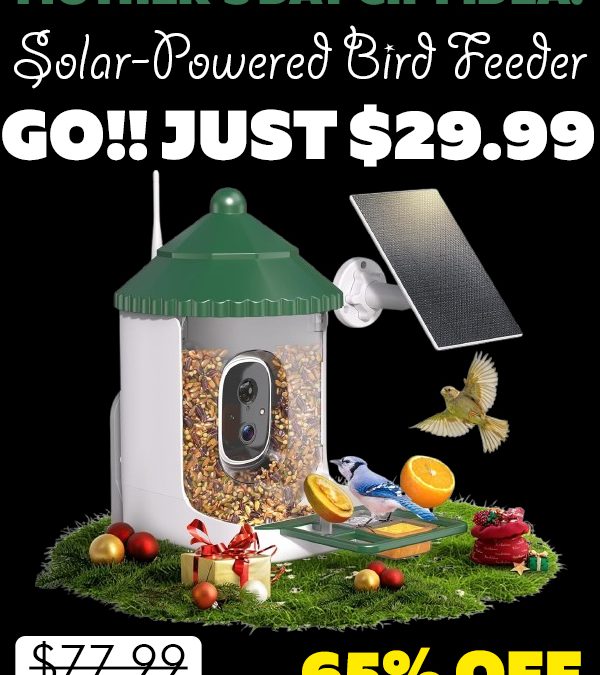 Solar-Powered Smart Bird Feeder Only $29.99 (Regularly $77.99)
