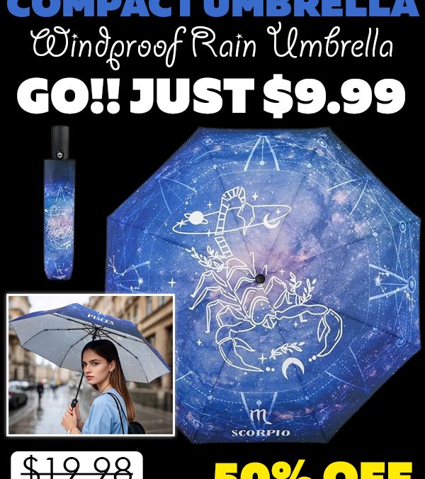 Windproof Rain Umbrella Only $9.99 (Regularly $19.98)