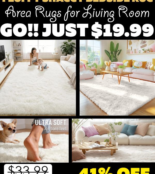 Area Rugs for Living Room Only $19.99 (Regularly $33.99)