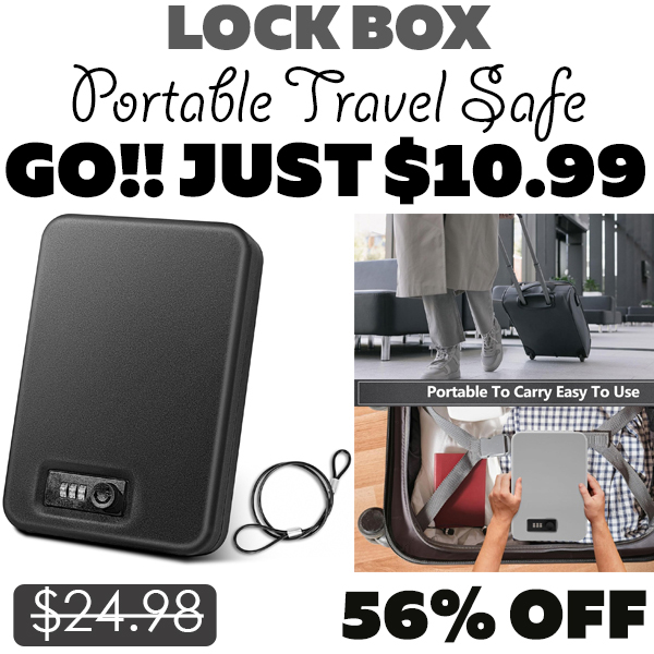 Portable Travel Safe Only $10.99 (Regularly $24.98)