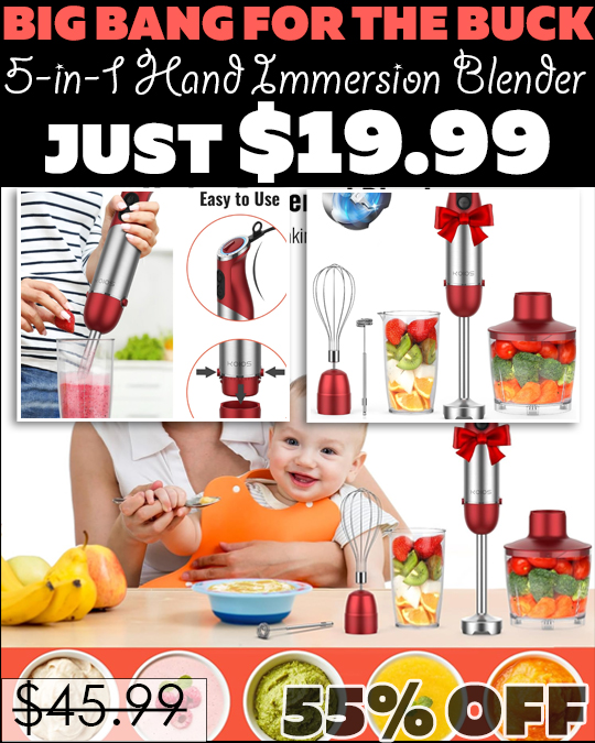 5-in-1 Hand Immersion Blender Only $19.99 (Regularly $45.99)