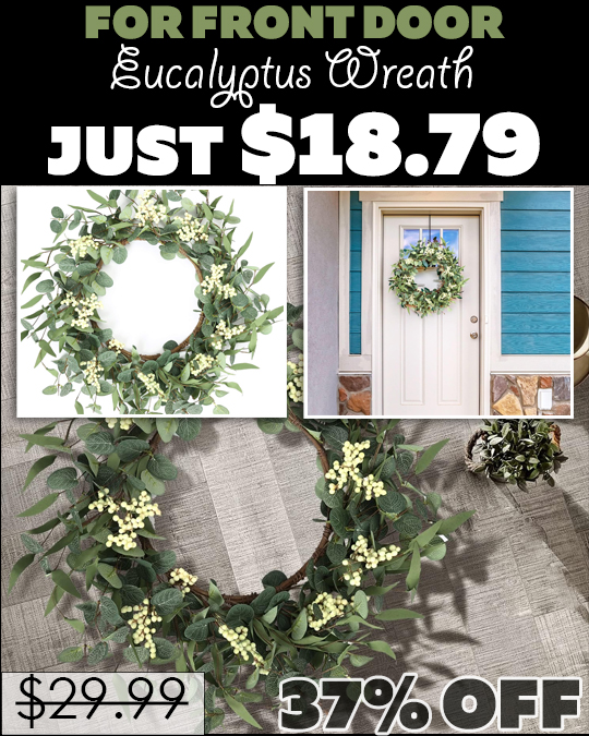 Eucalyptus Wreath for Front Door Only $18.79 (Regularly $29.99)