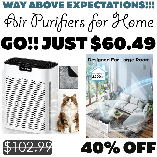 Air Purifiers for Home Only $60.49 (Regularly $102.99)