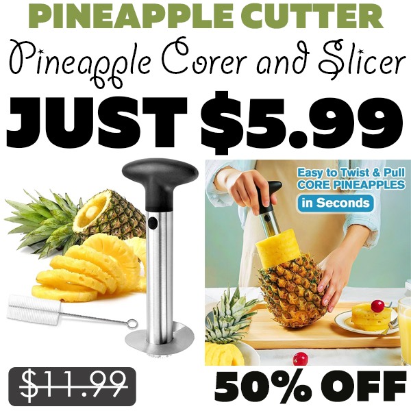 Pineapple Corer and Slicer Only $5.99 (Regularly $11.99)
