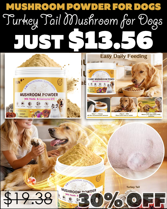 Turkey Tail Mushroom for Dogs Only $13.56 (Regularly $19.38)