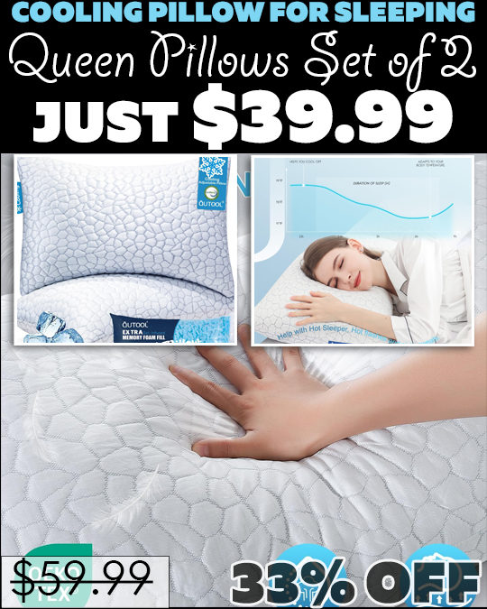 Queen Pillows Set of 2 Only $39.99 (Regularly $59.99)