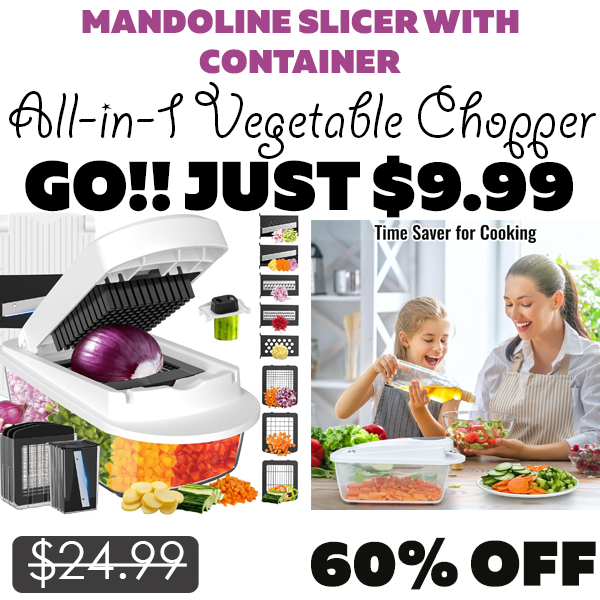 All-in-1 Vegetable Chopper Only $9.99 (Regularly $24.99)