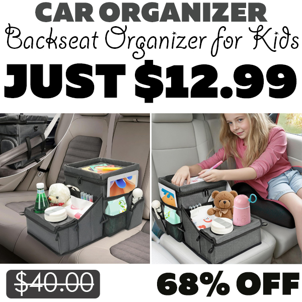 Backseat Organizer for Kids Only $12.99 (Regularly $40.00)