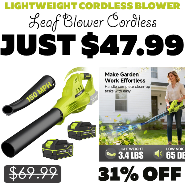 Leaf Blower Cordless Only $47.99 (Regularly $69.99)