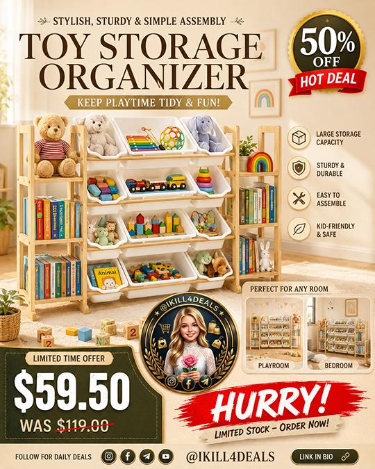 Toy Storage Organizer Only $59.50 (Regularly $119)