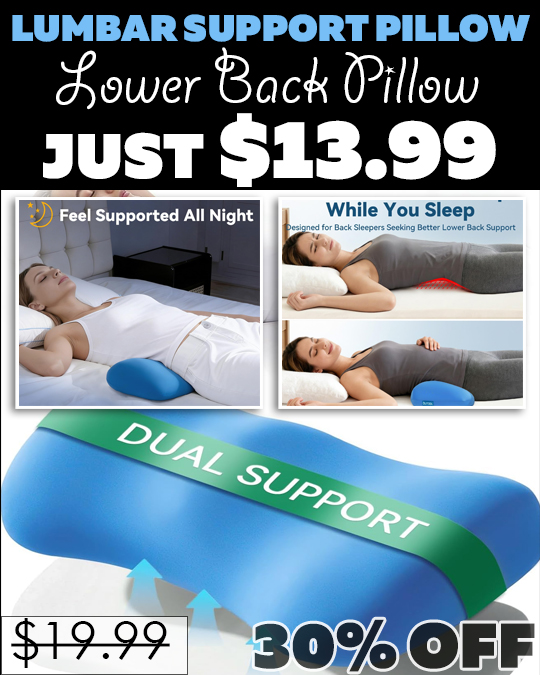 Lower Back Pillow Only $13.99 (Regularly $19.99)