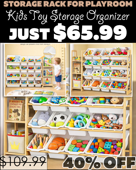 Kids Toy Storage Organizer Only $65.99 (Regularly $109.99)
